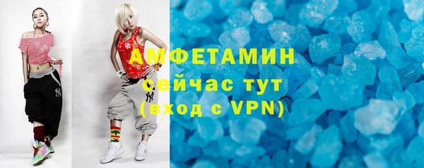 прущие грибы Богданович