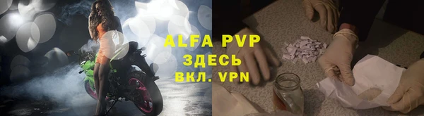прущие грибы Богданович