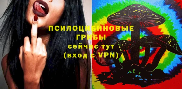 прущие грибы Богданович