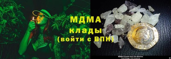 прущие грибы Богданович